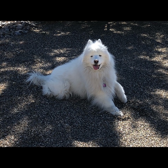 Meet your Posher, Kirsten - Picture 5 of 5